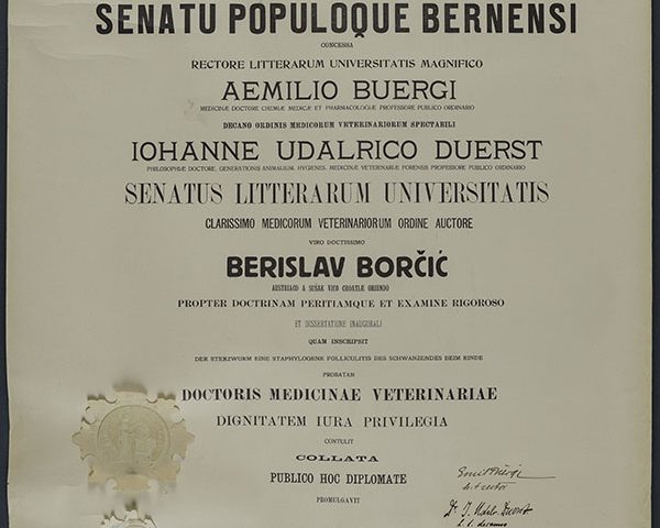 Berislav Borčić HMMF