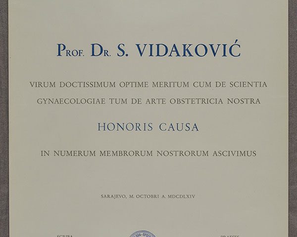 Stjepan Vidaković HMMF