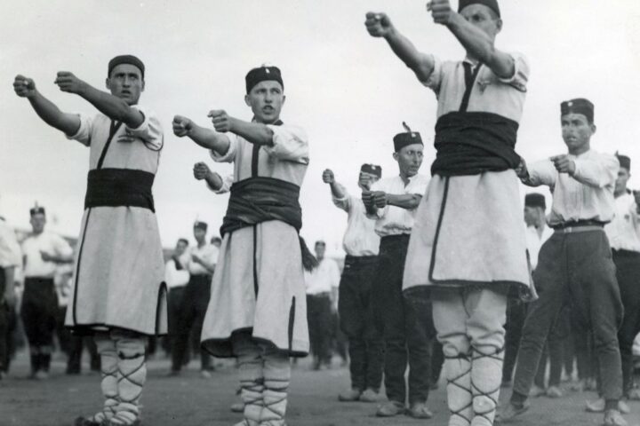 predavanje-modernost-kao-medicinska-kriza